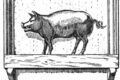 IL RACCONTO DELLA DOMENICA, ovvero, IL CALESSE